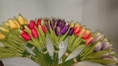 Tulipány barevné svazek sd 20ks Umělé květiny