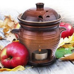 Jablečňák - aroma z čerstvého ovoce O0099 Dům, byt a zahrada