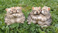 Kočky tlusté kasička Kasičky