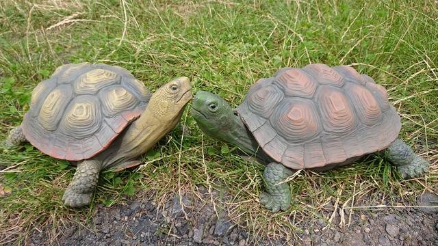 Želva poly velká - Polystonové a keramické figurky