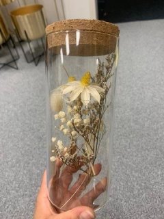 Sušená květina ve skle