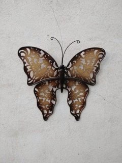 Motýl kov hnědobéžový menší