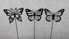 Motýl kov zápich 3 druhy