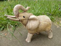 Slon poly design proutí