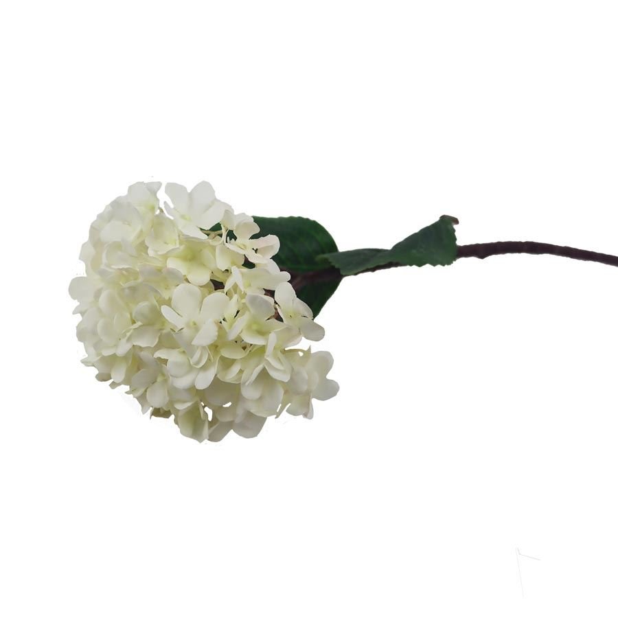 Hortenzie krémová X5788-26 - Květiny