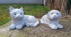 Kočka + pes šedobílá