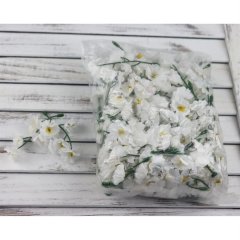 Nábytek Bytové doplňky a dekorace Květiny a stojany Květiny - Gypsophila hlavička 8 cm bílá Gypsophila hlavička 8 cm bílá