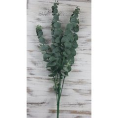 eukalyptus 78 cm, tmavě zelená Nábytek - Bytové doplňky a dekorace - Květiny a stojany - Květiny