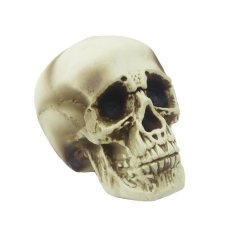 Dekorace na Halloween lebka X7000 Nábytek - Bytové doplňky a dekorace - Sváteční dekorace - Vánoční dekorace