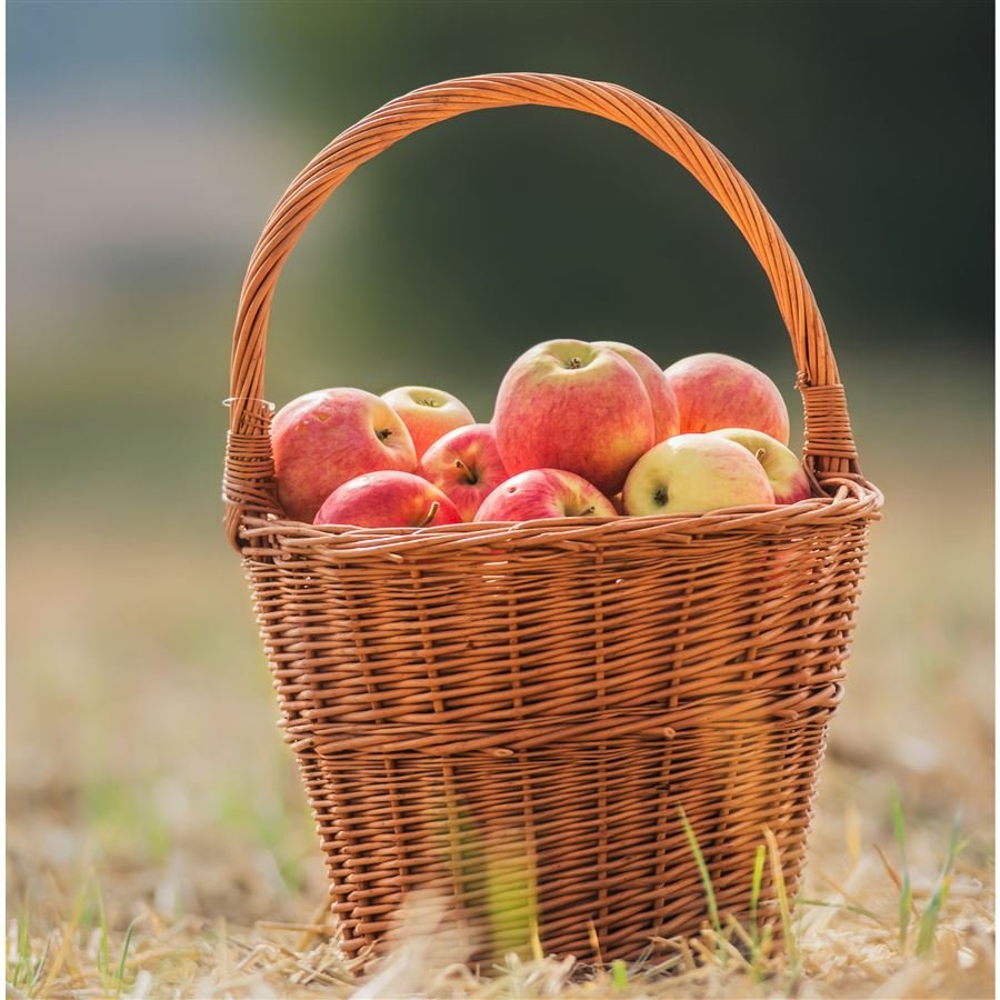 Trháček prům. 25cm 067036/25 - Dům, byt a zahrada