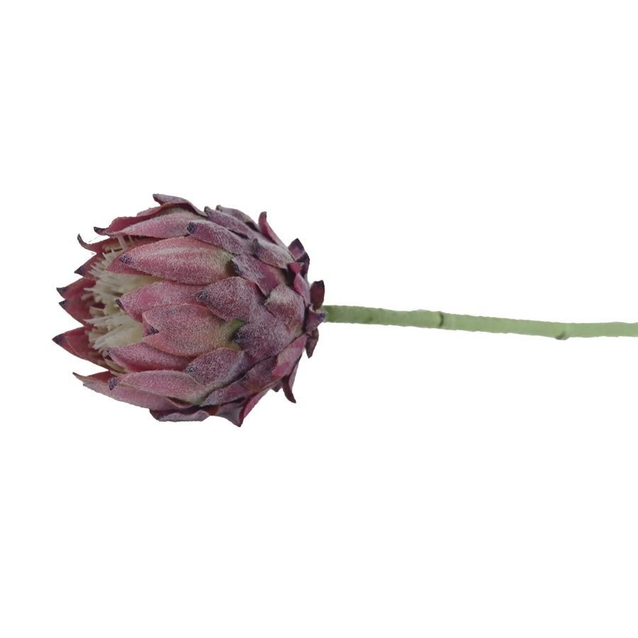 Nábytek - Bytové doplňky a dekorace - Květiny a stojany - Květiny - Umělá protea X6859-10 Umělá protea X6859-10 - Květiny