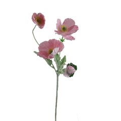 Vlčí mák X7963-05 Nábytek - Bytové doplňky a dekorace - Květiny a stojany - Květiny