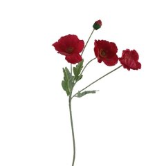 Vlčí mák X7963-08 Nábytek - Bytové doplňky a dekorace - Květiny a stojany - Květiny