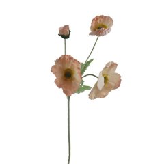 Vlčí mák X7963-33 Nábytek - Bytové doplňky a dekorace - Květiny a stojany - Květiny