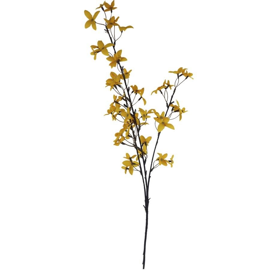 Zlatý déšť X7964 - Květiny