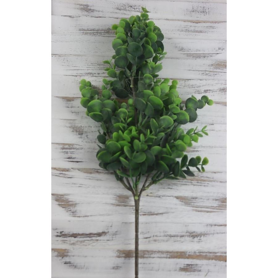 Větev eukalyptu, 61 cm, ZELENÁ Větev eukalyptu, 61 cm, ZELENÁ