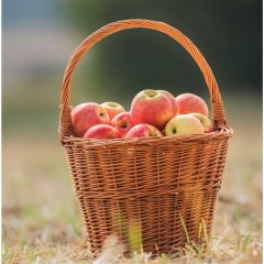 Trháček prům. 25cm 067036/25 Dům, byt a zahrada
